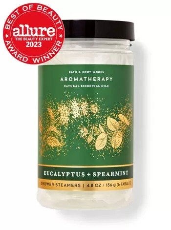 Aromatherapy Eucalyptus Spearmint Shower Steamers