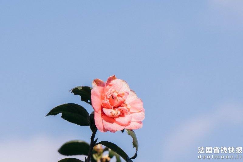 xianyu-hao--e_qLoGiZ08-unsplash