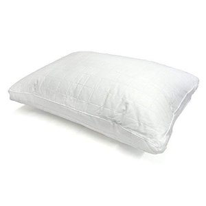 Century Home Gusseted Silk Pillow, Standard