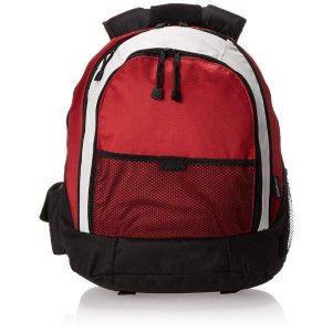World Traveler Evolution 15.6 Inch Laptop Backpack