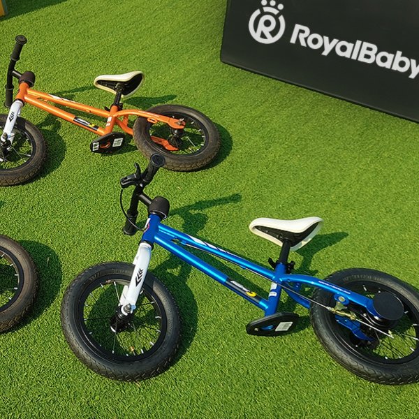 Royalbaby Freestyle Toddlers Kids Balance Bike