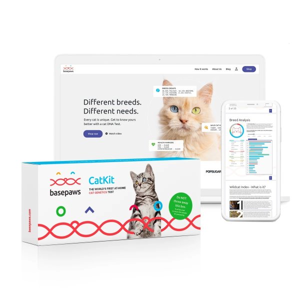 Basepaws Breed + Health DNA Test