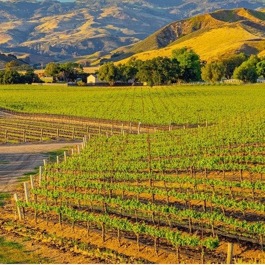 $89 – Santa Ynez Wine Country Getaway