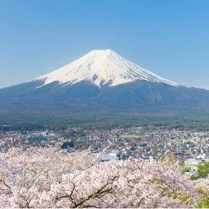 8-Day Japan Guided Tour with Hotels and Air