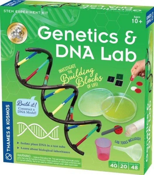 Genetics & DNA 科普玩具