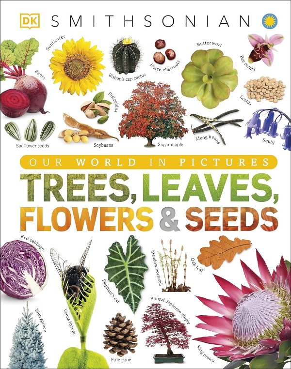 Trees, Leaves, Flowers and Seeds: A Visual Encyclopedia of the Plant Kingdomango