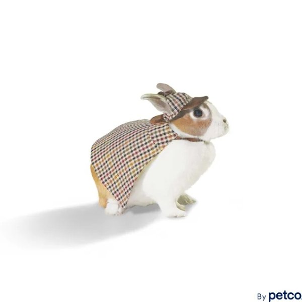 Detective Costume for Rabbits | Petco