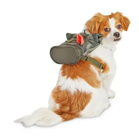 Reddy Camo Canvas Dog Backpack, X-Small/Small | Petco