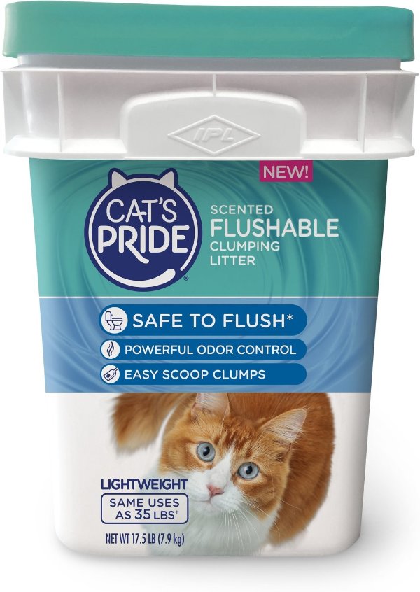 CAT'S PRIDE Premium Lightweight Fresh Scented Clumping Clay Cat Litter, 17.5-lb pail - Chewy.com