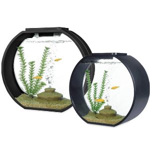 Deco O Mini Aquarium