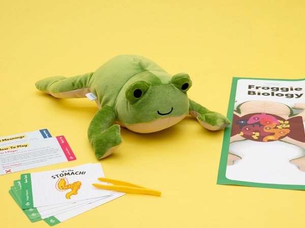青蛙构造学习，适合年龄 5+