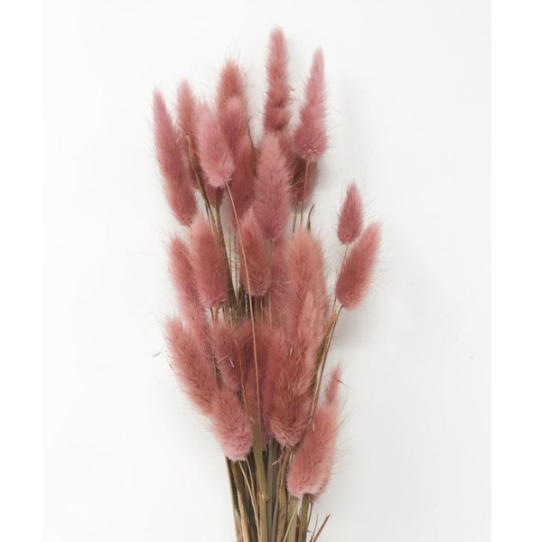 Natural pink / dried flowers DIY Flower arrangements stem | Etsy