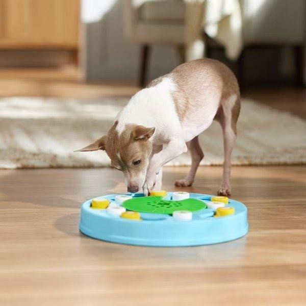 Frisco Seek & Discover Interactive Puzzle Dog Toy, Moderate