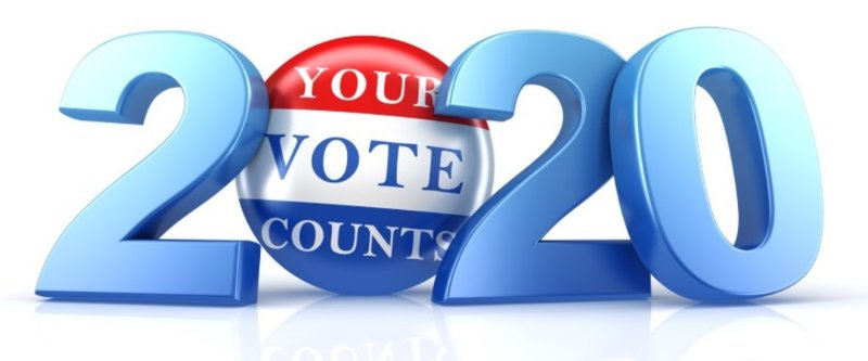 vote-2020-11
