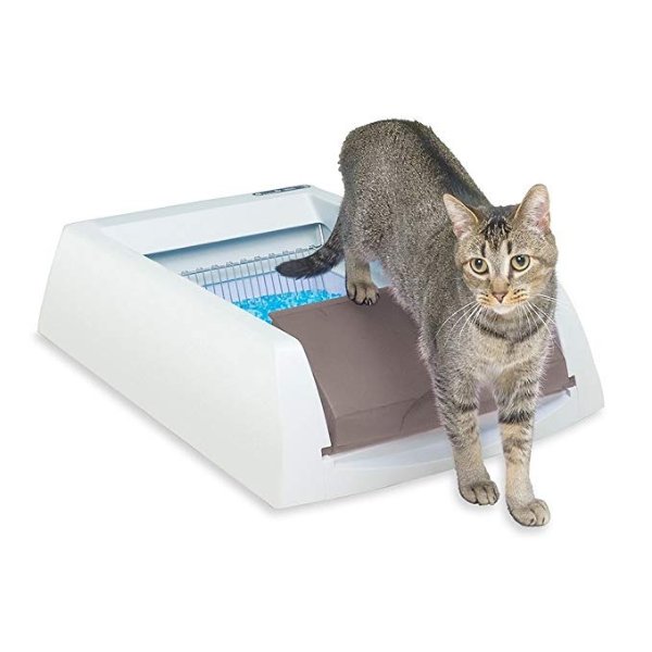 ScoopFree Original Self-Cleaning Cat Litter Box, Automatic with Disposable Litter Tray and Blue Crystal Cat Litter, 2 Color Options