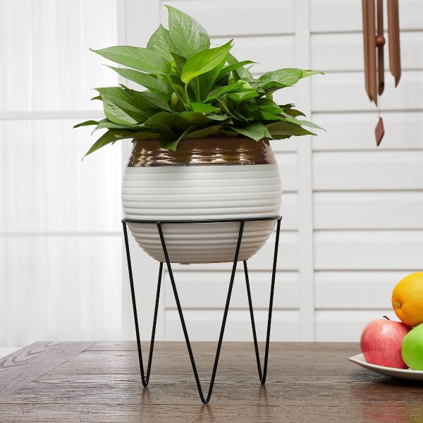8" Metallic Stripe Pot with Stand in Brass/White