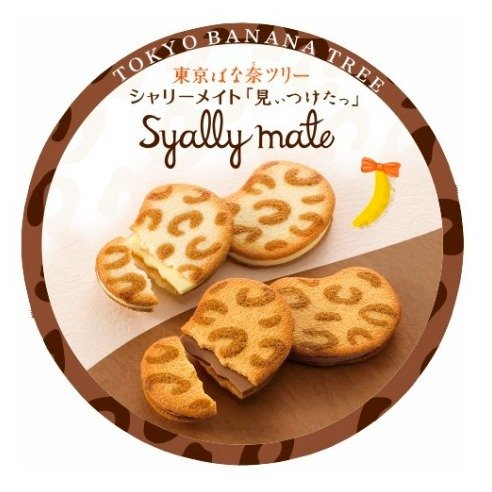 Double-Flavor Cookie 8pc（Japan Import）