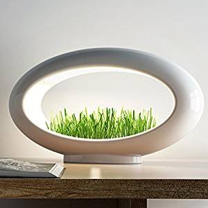 Buy a garden and Bring it home!Valsfer Grasslamp(Wheatgrass not Included)