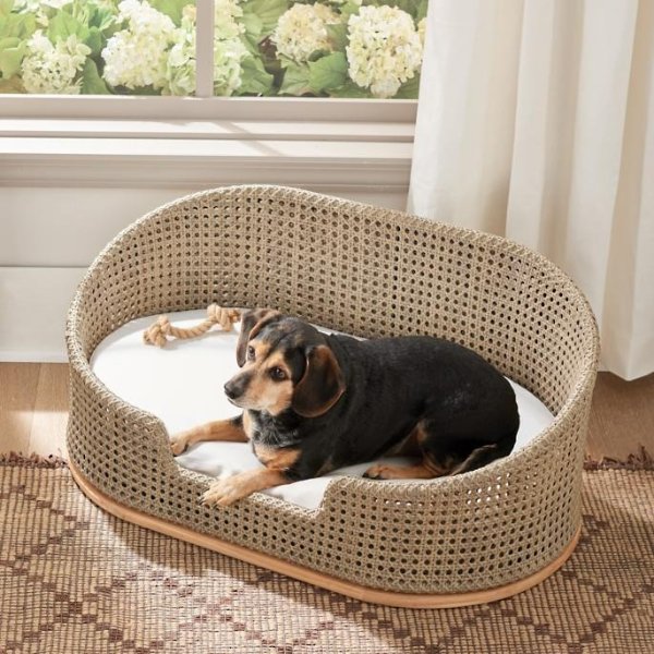 Isola Indoor/Outdoor Pet Bed | Frontgate