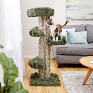 Chewy Selected Cat Trees, Perches & Litter Boxes on Sale