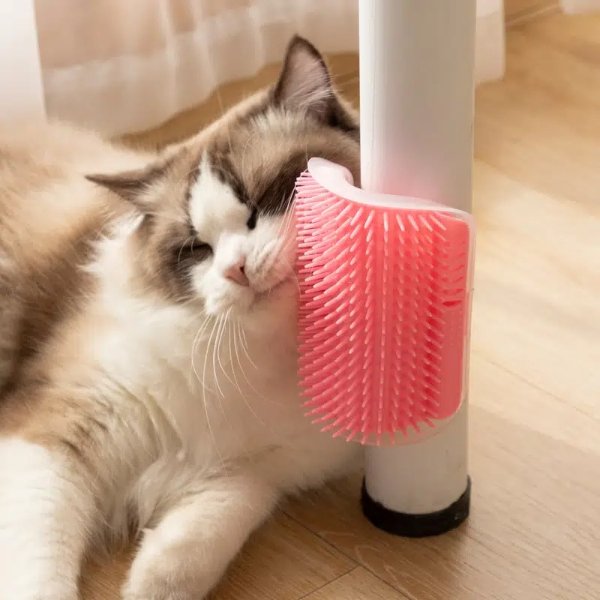 1pc Cat Wall Massage Hair Rubbers