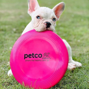 Petco Selected Dog Toys on Sale