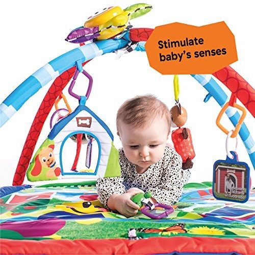 Caterpillar & Friends Play Gym with Lights and Melodies, Ages Newborn +