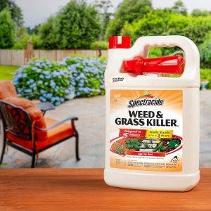 Spectracide Ready-to-Use 1-Gallon Trigger Spray Weed and Grass Killer