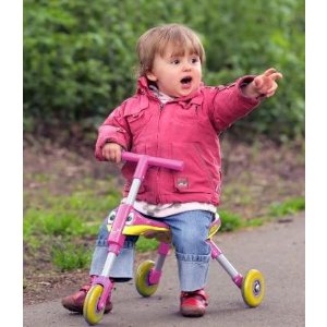 TriBike Toddlers Foldable Indoor-Outdoor Glide Tricycle Ride On