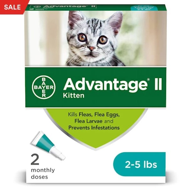 Bayer Once-A-Month Topical Kills Flea for Kitten, Count of 2 | Petco
