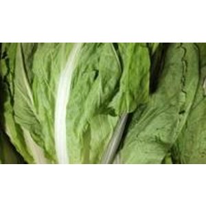 Group Order about Organic Taiwan Bok Choy @ GrubMarket, SF Bay Area Only!