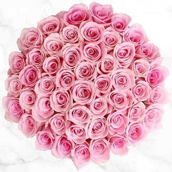 Pre-Order Valentine's Day 50 Stem Light Pink Roses