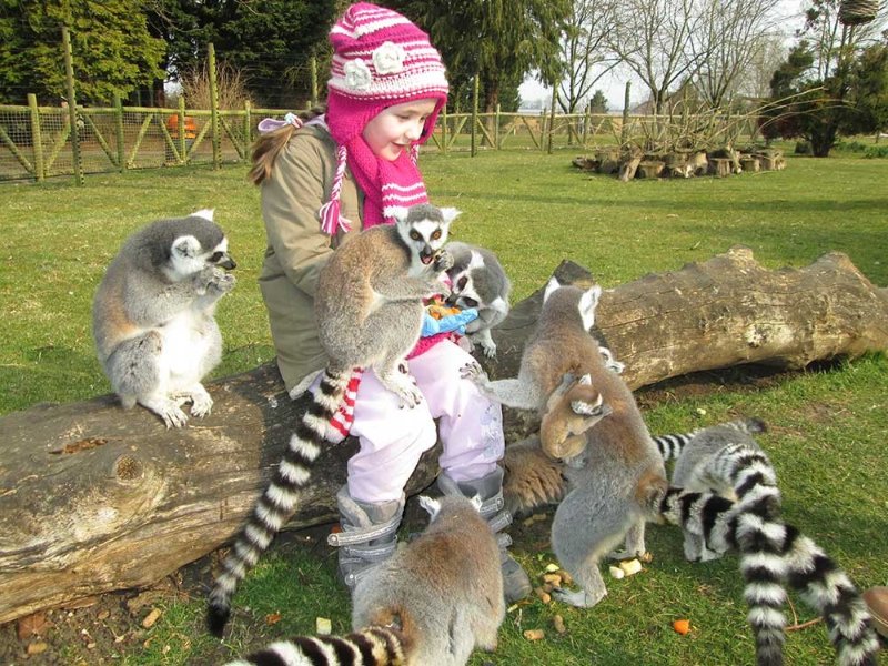 Zoo_2