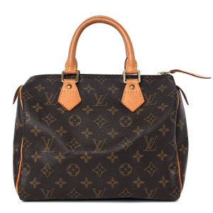 Louis VuittonSpeedy 25 手提包