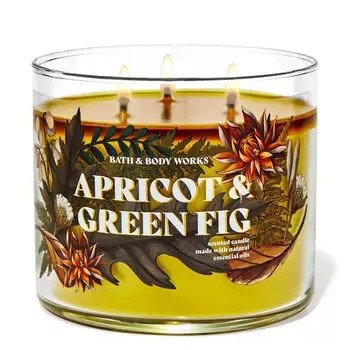 Apricot & Green Fig 3-Wick Candle