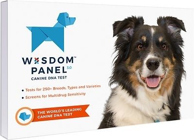 3.0 Breed Identification Dog DNA Test Kit - Chewy.com