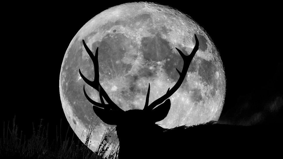 英国今夜有超级月亮！快抬头赏Buck moon雄鹿月！查收1年中距离月亮最近的时刻~