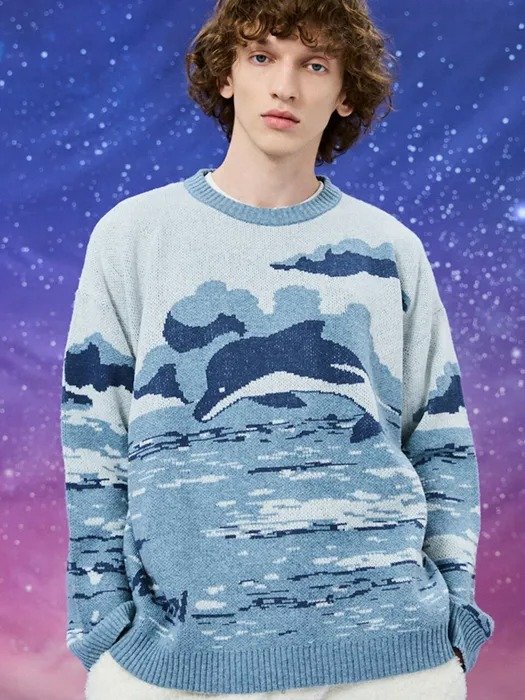 Over The Sea Dolphin Graphic Knit