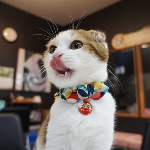 Necoichi Cat Collar on Sale