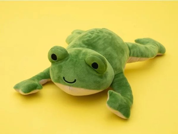 自制青蛙玩偶并了解内部器官知识，适合年龄 5+