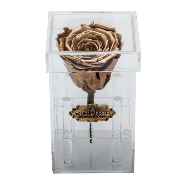 水晶花盒单枝永生玫瑰