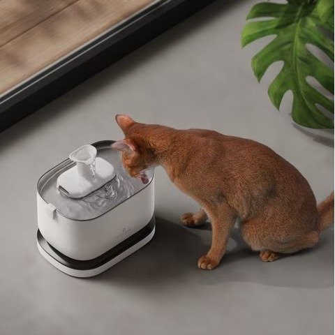Dockstream Battery Operated Cat Water Fountain