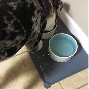 Hoki Found Silicone Waterproof Dog Cat Pet Food Mats Tray