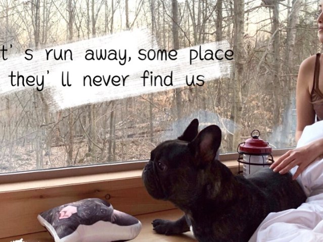 Getaway House, 和狗...