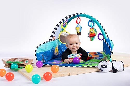 5-in-1 Journey of Discovery Activity Gym