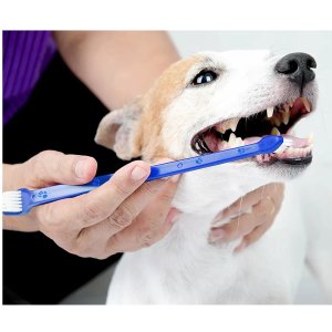 Duke's Pet Products Two-Piece Dog Toothbrush Set