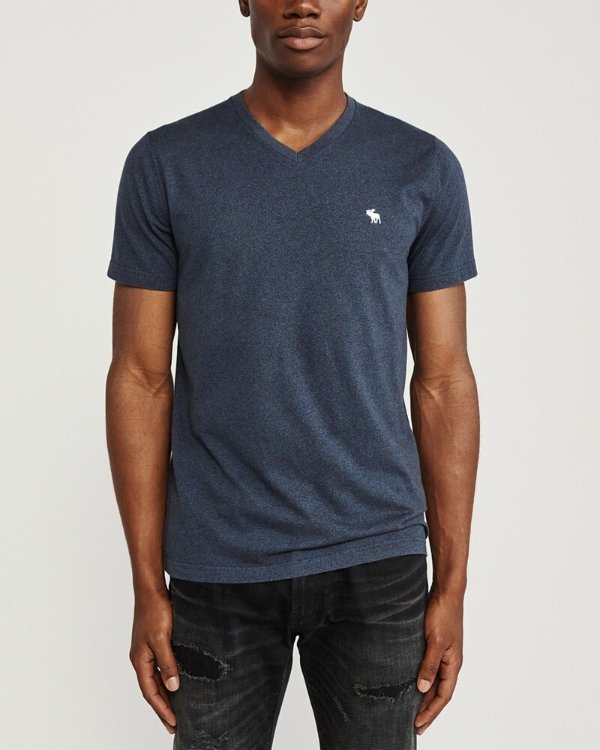 Mens Short-Sleeve Icon V-Neck Tee | Mens Clearance | Abercrombie.com