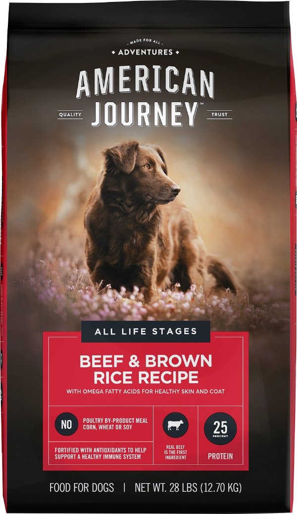 Beef & Brown Rice Protein First Recipe Dry Dog Food, 28-lb bag - Chewy.com