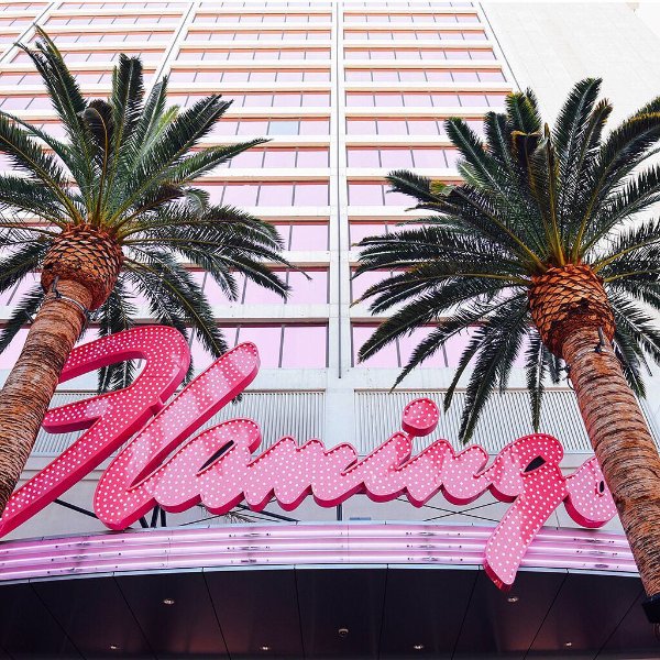 flamingovegas_15624792_920155571453695_4307040045342130176_n.jpg