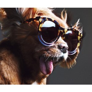 KAREN WALKER EYEWEAR Super Duper Thistle sunglasses @ MATCHESFASHION.COM